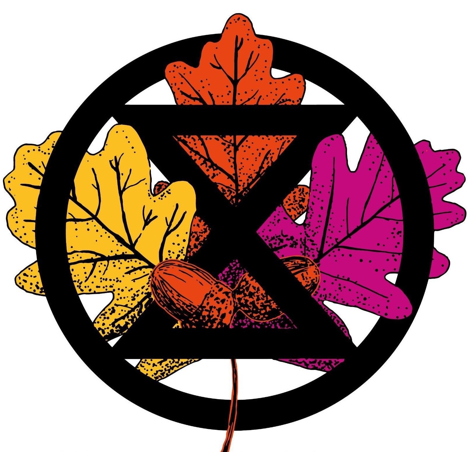 Extinction Rebellion Drenthe logo